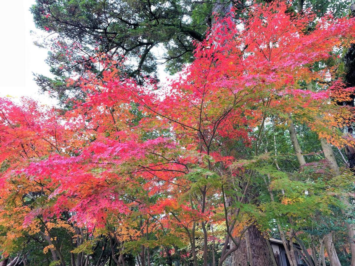 Hotel Amanek Kanazawa Buitenkant foto